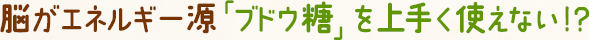 脳がブドウ糖を上手く使えない！？