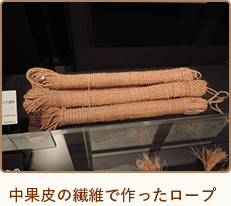 中果皮の繊維で作ったロープ