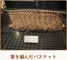 葉を編んだバスケット