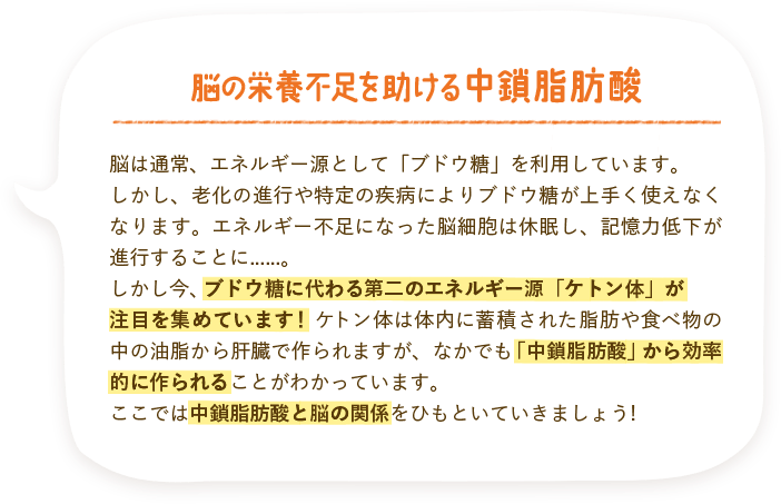 脳の栄養不足を助ける中鎖脂肪酸