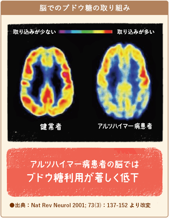  無料で始めるネットショップ 作成＆運営＆集客がぜんぶわかる！   志鎌 真奈美   技術評論社 [単行本（ソフトカバー）]