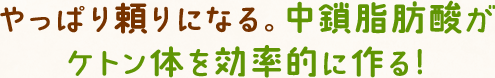 やっぱり頼りになる。中鎖脂肪酸がケトン体を効率的に作る!
