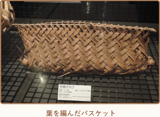 葉を編んだバスケット