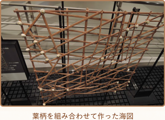 葉柄を組み合わせて作った海図