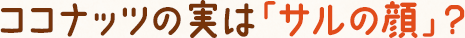 ココナッツの実は「サルの顔」?
