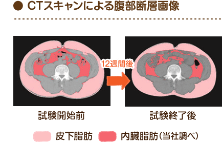 Mctサロン 体脂肪になりにくい中鎖脂肪酸
