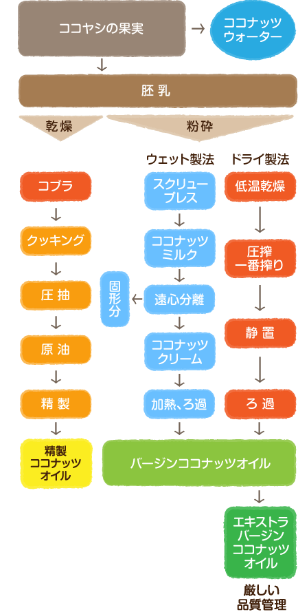 Mctサロン いろいろ知りたい ココナッツオイル Mctサロン いろいろ知りたい ココナッツオイル