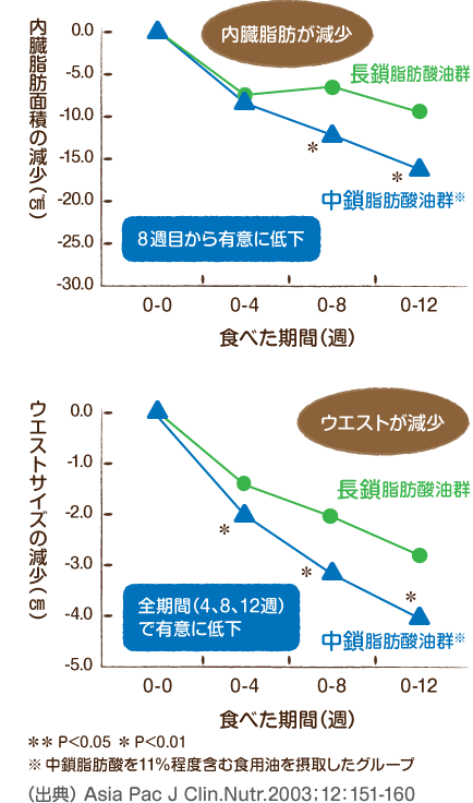 それって実際の真実は！日清MCTオイル100% 中鎖脂肪酸油200g×4本セット