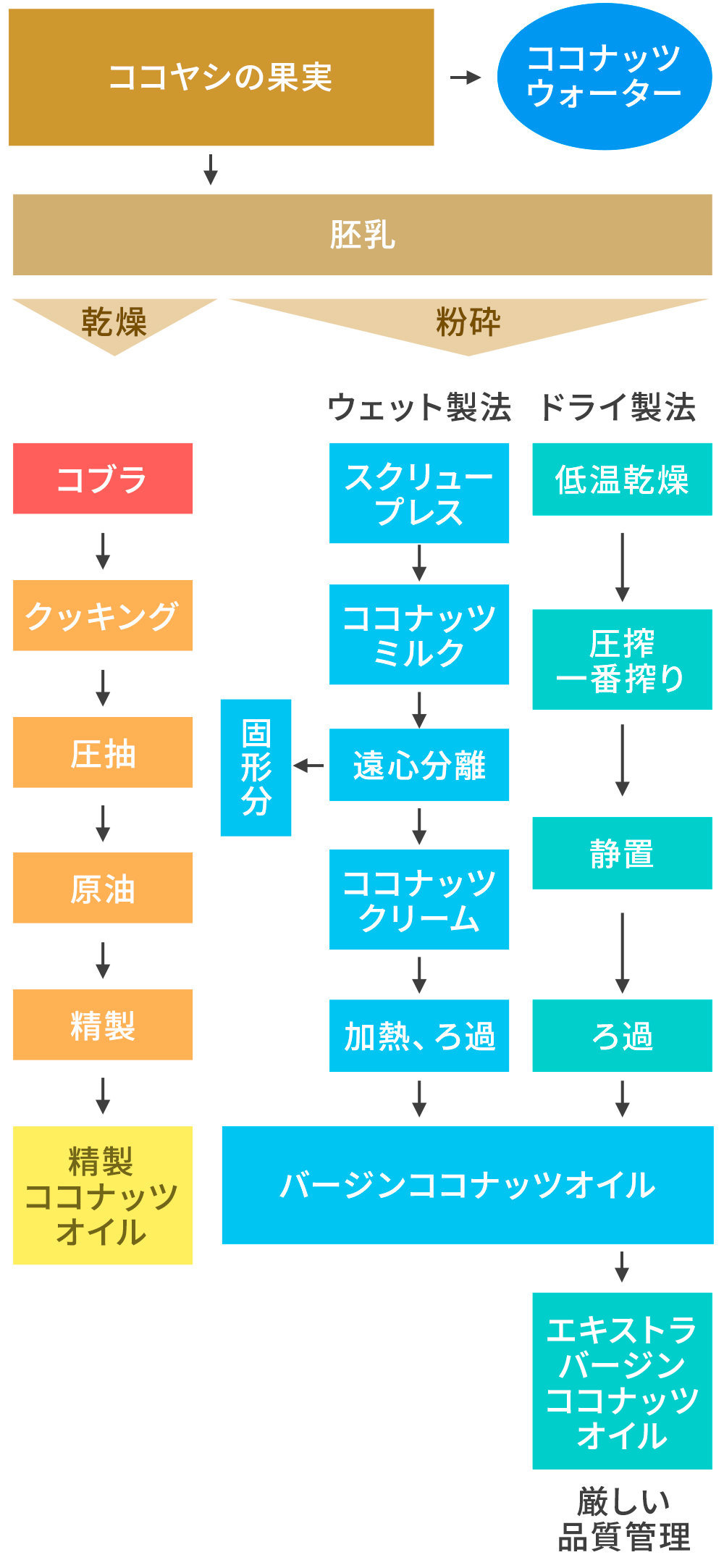 Mctサロン いろいろ知りたい ココナッツオイル