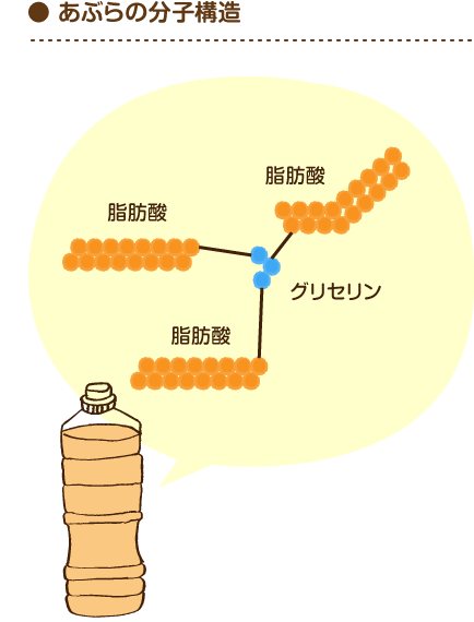 脂肪酸ってなに あぶらは 脂肪酸とグリセリンという分子からできています 脂肪酸3つとグリセリン1つが結合し トリアシルグリセロール という形になっています 脂肪酸は 炭素 C が鎖状につながった構造をしており その鎖の長さや炭素の二